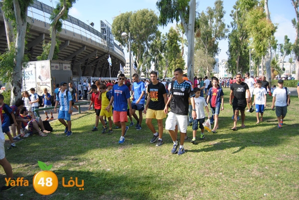 blomfeiled 803 (9).JPG